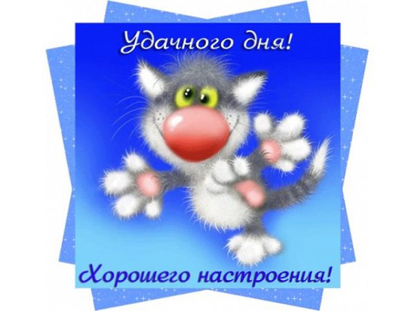 MH:����������|������ - 24 ������� 2015 � 21:48