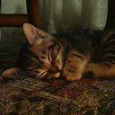 ���� Nfiso, �������, 43 ���� - ��������� 1 ������� 2015