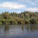 ���� ����, ������, 55 ��� - ��������� 4 ������ 2015 � ������ ���� ����������