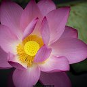 ���� ������, ������ - ��������� 28 ������� 2014 � ������ ���� ����������