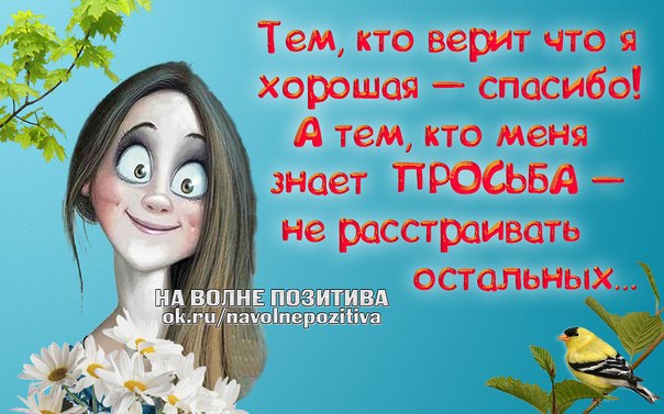  - 28  2015  12:23