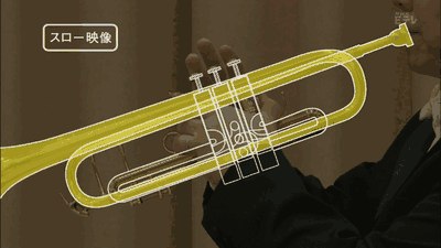 10 «гифок», которые научат вас разбираться в природе вещей.1. Как ключ отпирает дверной замок2. Как ... - 3