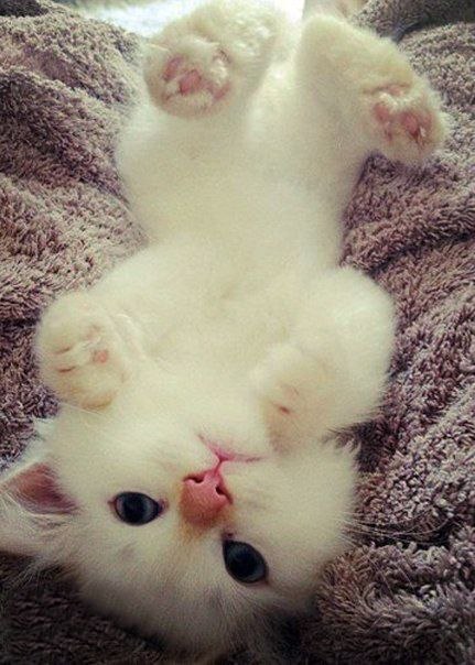 ������� ������� | ���� | ����� - 21 ������ 2015 � 06:31 - 4