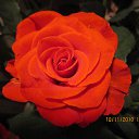 ������� ������ �� ������� ���� ����������