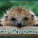 ���� Ksena, �������� - ��������� 29 ����� 2015 � ������ �������� ��������