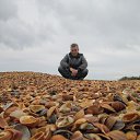 ���� �������, �������, 41 ��� - ��������� 23 ������� 2014 � ������ ���� ����������