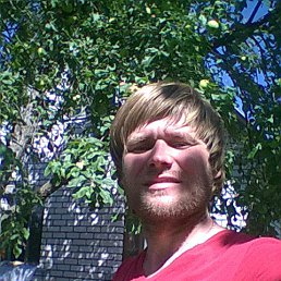 �������, ������, 43 ����