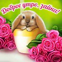 ���� �������, ������ - ��������� 16 ������ 2015 � ������ �������� ��������