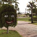 ���� �����, �����-���������, 61 ��� - ��������� 21 ������ 2015 � ������ ������ 2015�