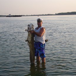 ���� ������, ������, 58 ��� - ��������� 14 ������ 2015