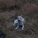 ���� =Nord=, ������� - ��������� 30 ������ 2015 � ������ ��������-��������