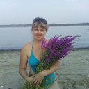 ���� ������, ��������� - ��������� 2 ������ 2015 � ������ ���� ����������