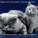 ���� ����, ���� - ��������� 11 ����� 2015 � ������ ������ ��������