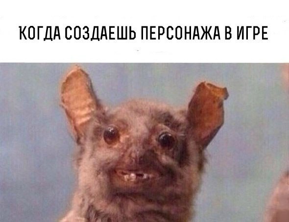   - 29  2015  17:33