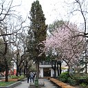  , , 60  -  1  2015   ,29.03.15.  