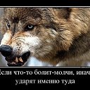 ���� ����, �������, 49 ��� - ��������� 3 ������� 2015 � ������ ���� ����������