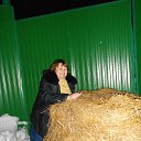 ������ � ������� .���� 2014�. �� ������� ���� ����������