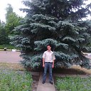 ���� ���, �����, 42 ���� - ��������� 29 ������ 2015 � ������ ������ ��������