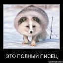 ���� ����, ����������, 56 ��� - ��������� 18 ������ 2015 � ������ ������ ��������