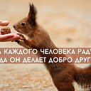 ���� �������, �����, 51 ��� - ��������� 13 ������ 2015 � ������ ������ ��������