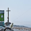 ���� ��������, �����-���������, 64 ���� - ��������� 25 ������� 2014 � ������ ������ ��������