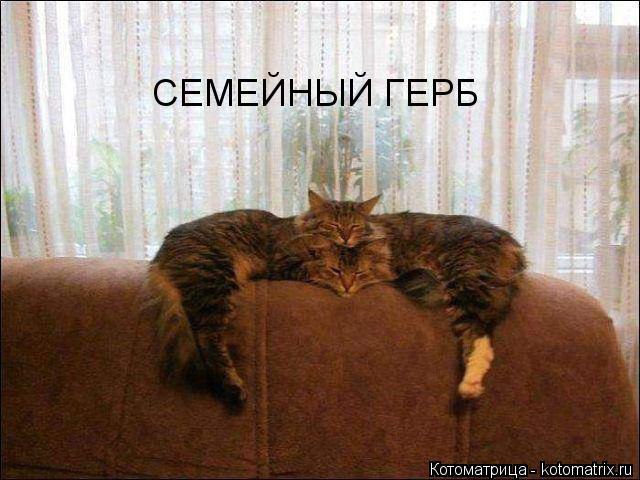 ��� - 11 ����� 2015 � 12:29
