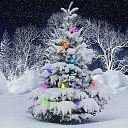 ���� ��������, ������, 46 ��� - ��������� 31 ������� 2014 � ������ ������ ��������