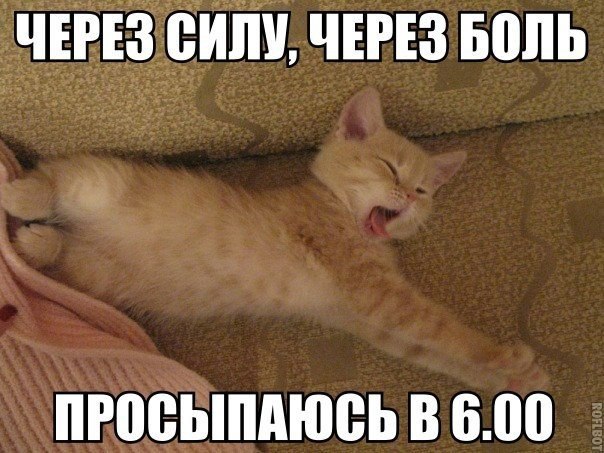 ������������ ���� - 25 ������� 2015 � 17:18