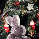 ���� ��������, ���� - ��������� 20 ������ 2015 � ������ ������� ������� �� �����