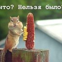 ���� �����, ������� �����-7, 54 ���� - ��������� 15 ������ 2015 � ������ �������.�