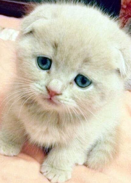 ������� ������� | ���� | ����� - 21 ������ 2015 � 06:31 - 6