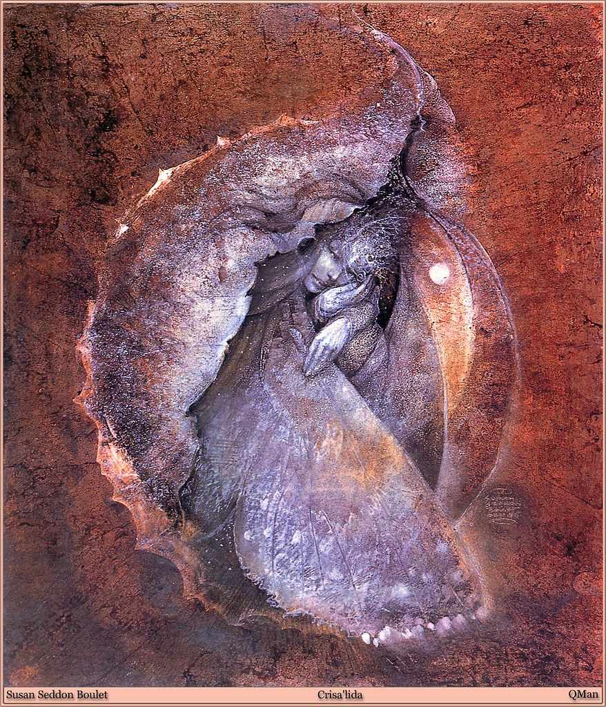 Susan Seddon Boulet  "" - 31