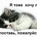 ���� ������, ��������, 33 ���� - ��������� 19 ������� 2014 � ������ ���� ����������