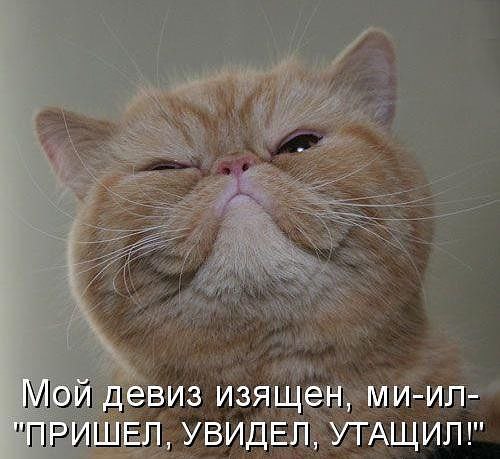  - 5  2015  05:48