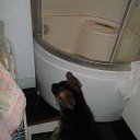 ���� Alexandr, �����-���������, 45 ��� - ��������� 11 ������� 2015 � ������ �����