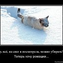 ���� ����������, ������, 39 ��� - ��������� 21 ������� 2015 � ������ ������ ��������