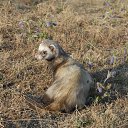 ���� Alex S, ������������, 60 ��� - ��������� 11 ����� 2015 � ������ �2�