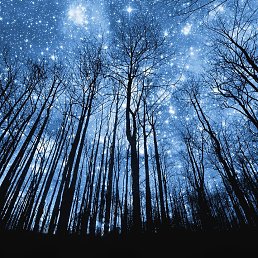 ����, ������, 39 ���