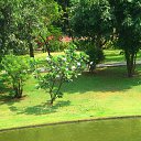 ���� �������, ���������� - ��������� 15 ����� 2015 � ������ ������ ��������