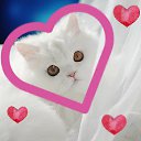 ���� �����, �����-��������� - ��������� 13 ������� 2015 � ������ ���� ����������