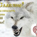 ���� @*Yura*@, �����, 48 ��� - ��������� 27 ������ 2015 � ������ ������ ��������