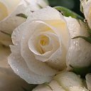 ���� �, ������ - ��������� 21 ����� 2015 � ������ ������ ��������