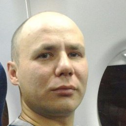 ����, ������������, 41 ���