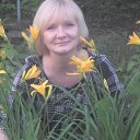 ���� �����, ������, 47 ��� - ��������� 7 ������ 2015