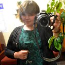 ���� �����, �������, 30 ��� - ��������� 8 ����� 2015 � ������ ���� ����������