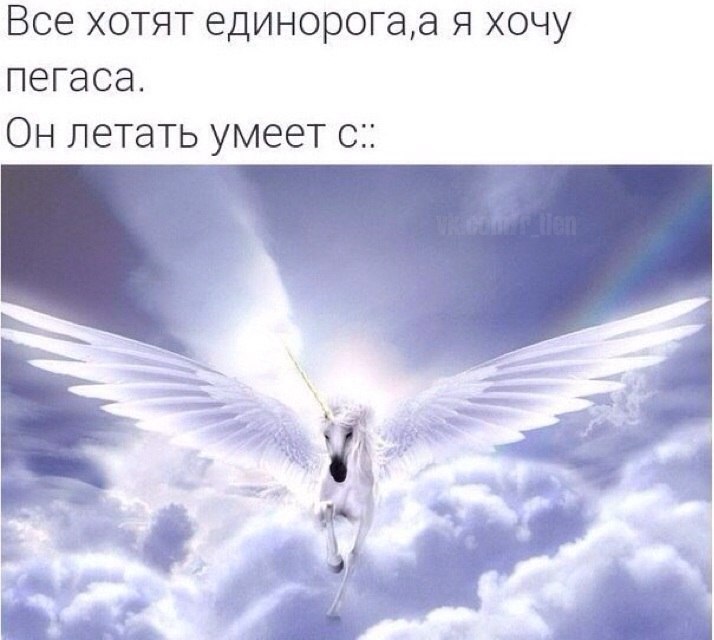 tumblr - 5  2015  13:35