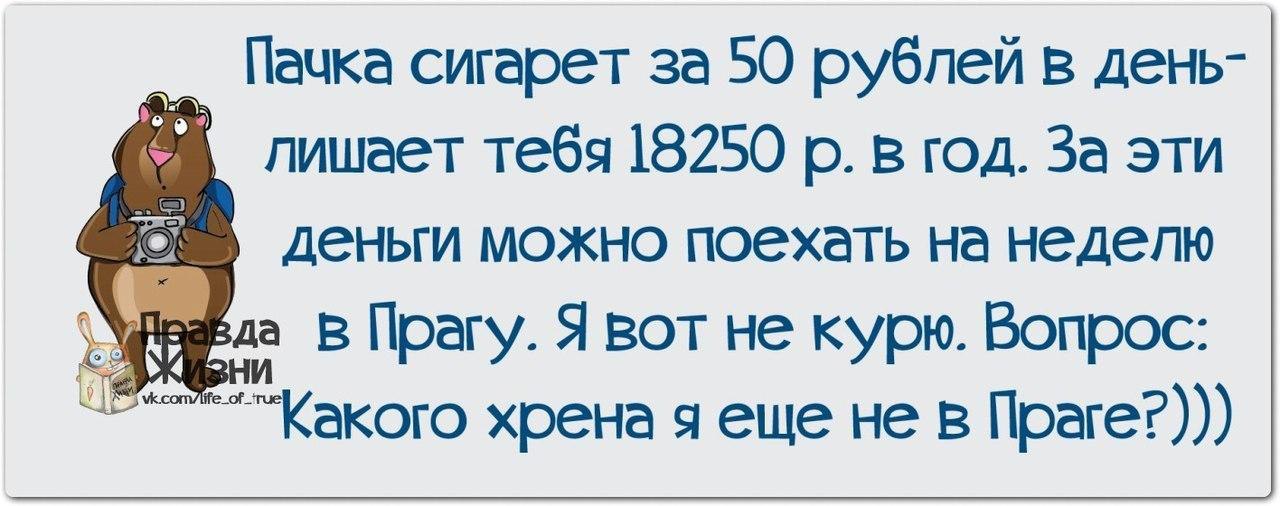 Поеду на неделе. Смешные высказывания о покурить. Смешные высказывания про бросить. Куришь? Мог бы сэкономить прикол. Смешные высказывания куда можно поехать на новый год если нет денег.