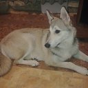 ���� �����, ������, 52 ���� - ��������� 7 ������� 2015 � ������ ���� ,,�����,,�