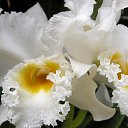 ���� ������, ���� - ��������� 30 ����� 2015 � ������ ������ ��������