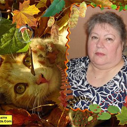 ���������, �������, 77 ���